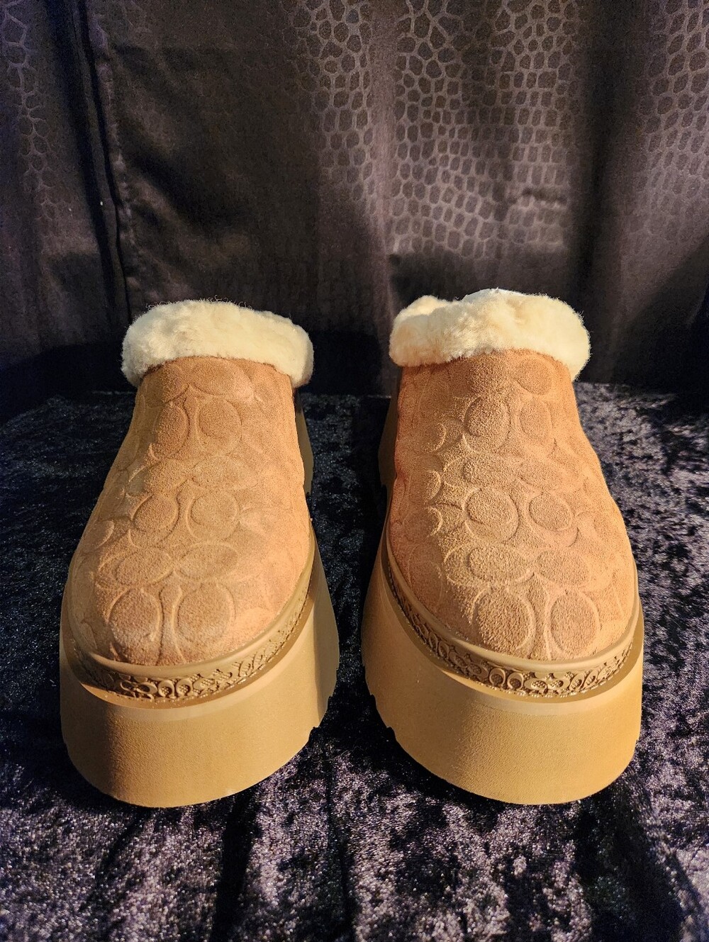 Coach Cecelia Clog Platforms with shearling lining - Picture 2 of 11